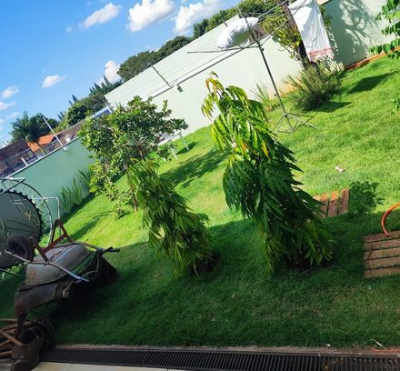 quintal com grama natural irregular e falhas, antes da instalação